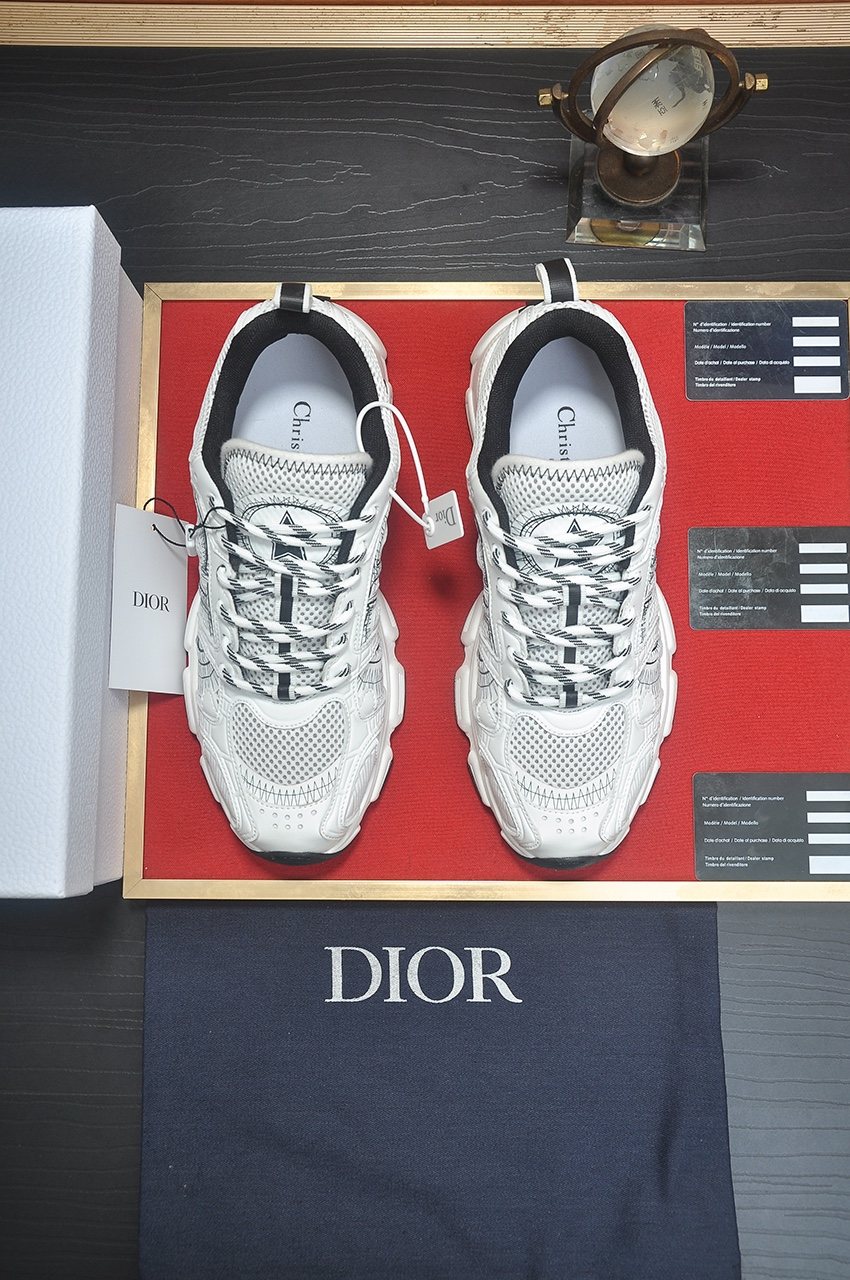 Dior Silver, White & Black Low-Top Sneakers